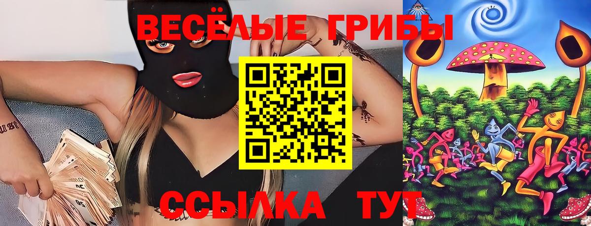 Галлюциногенные грибы MAGIC MUSHROOMS  Вход с VPN  Ковров 