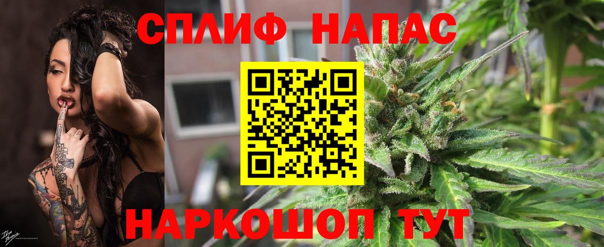 Бошки Шишки план Ковров